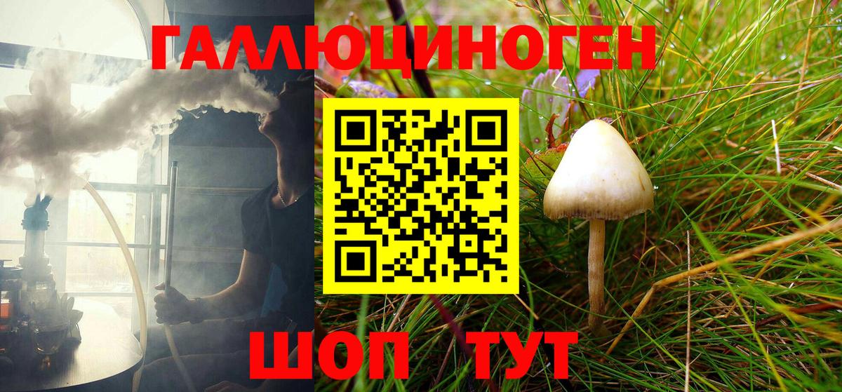 Галлюциногенные грибы MAGIC MUSHROOMS  Псилоцибиновые грибы ЛСД  Сальск  наркошоп  Вход с VPN 