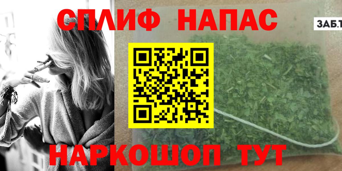 МАРИХУАНА сатива Сальск